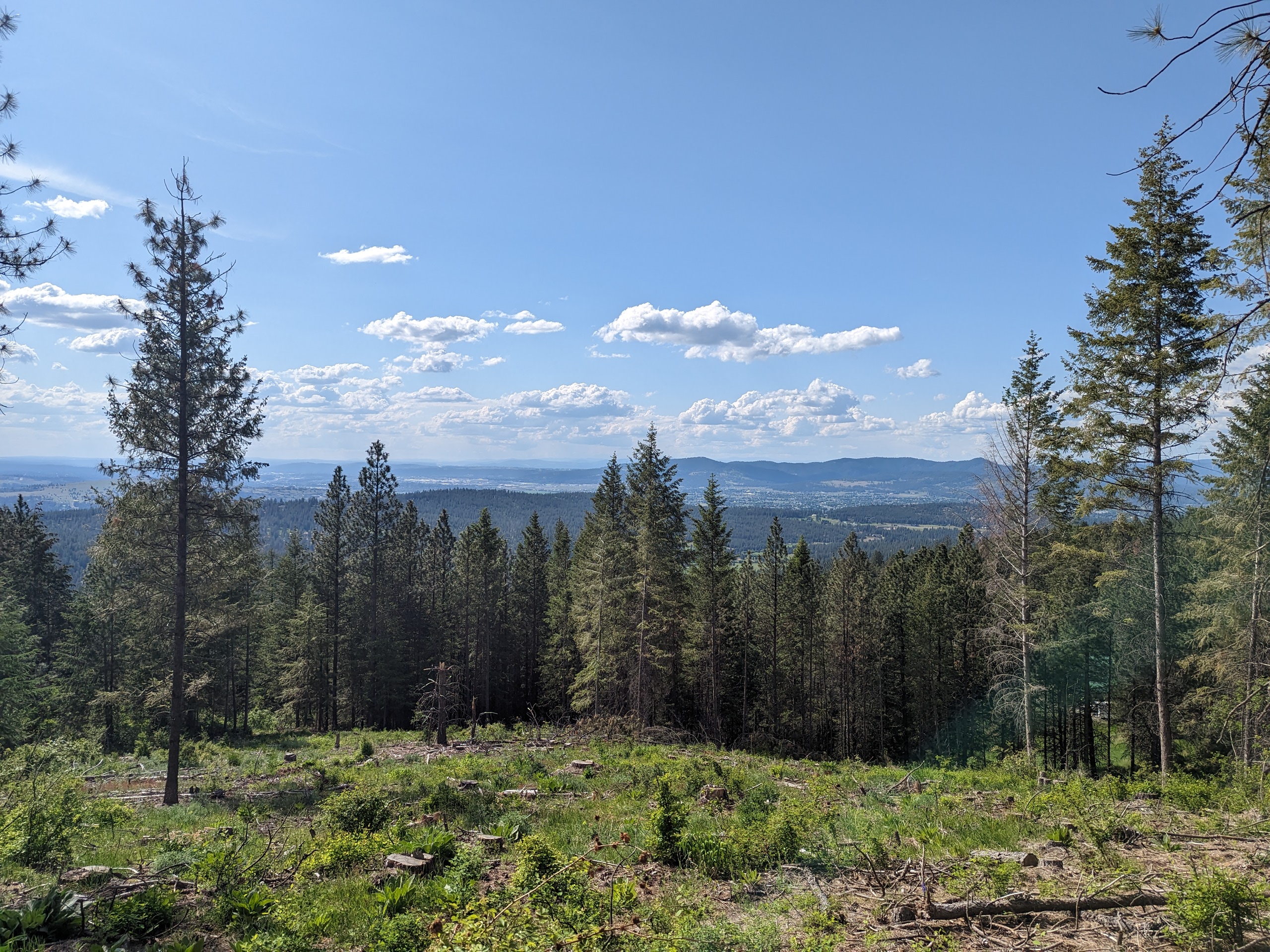 PXL_20230525_231001988